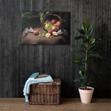 Still Life with Possums Canvas Print