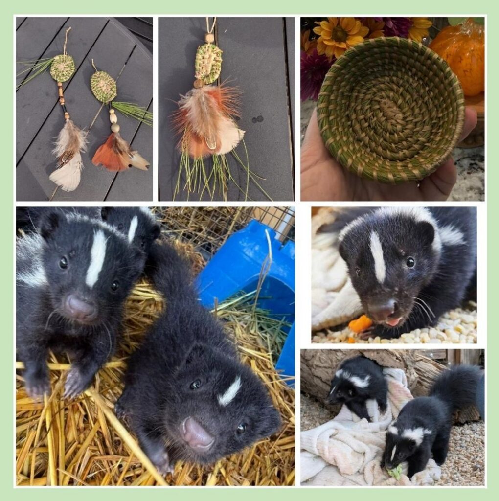 Weaving with Skunks