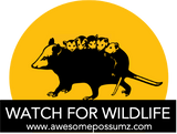 Yellow and black Watch for Wildlife decal showing a momma possum carrying 5 babies on her back