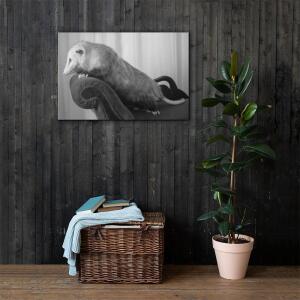 Sexy Stu Canvas