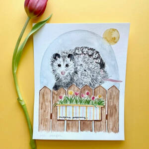 Baby Possum Watercolor Prints