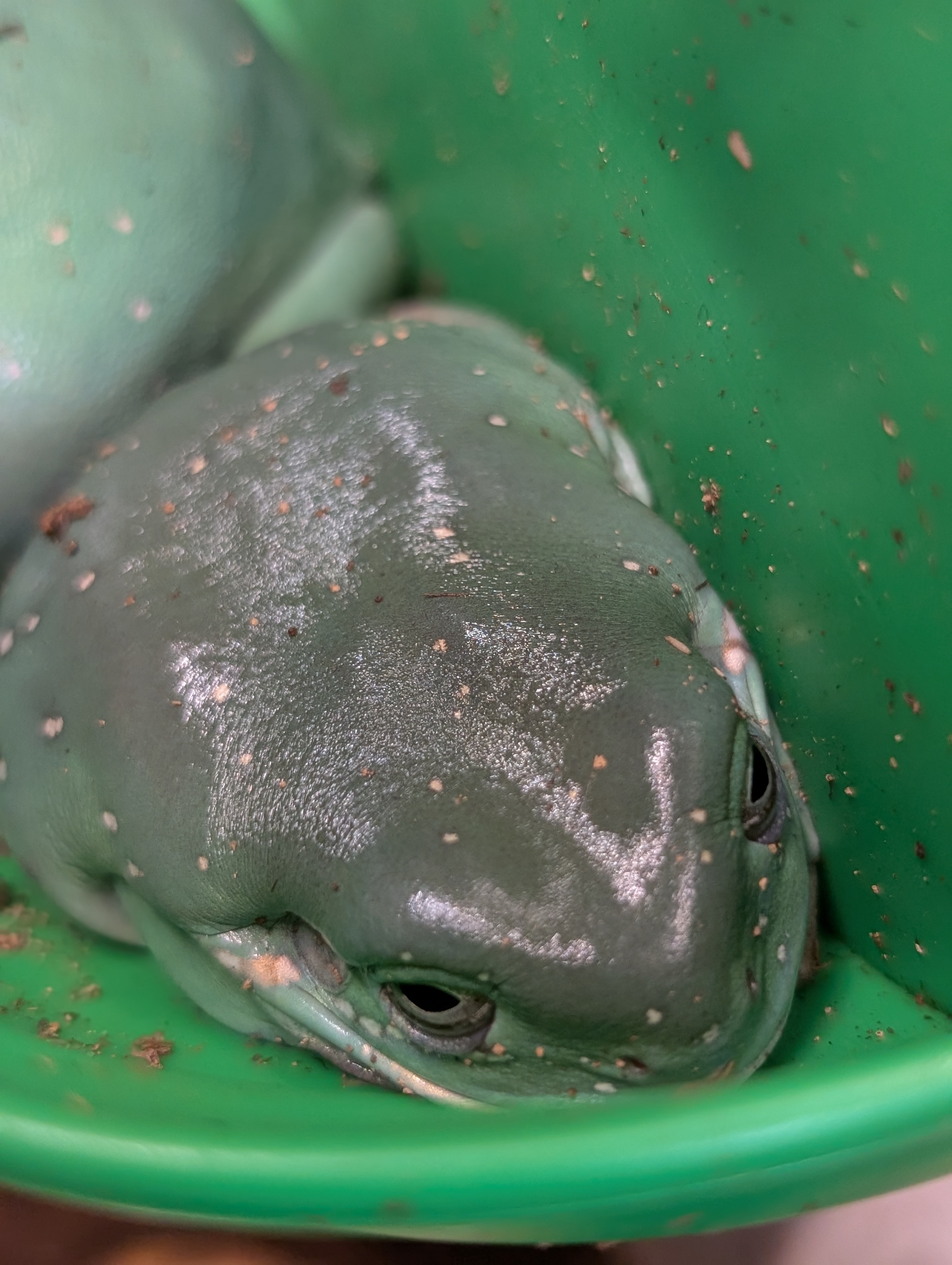 PXL_20250627_185848731.PORTRAIT