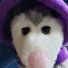 Awesome Possum Plushie - Image 2