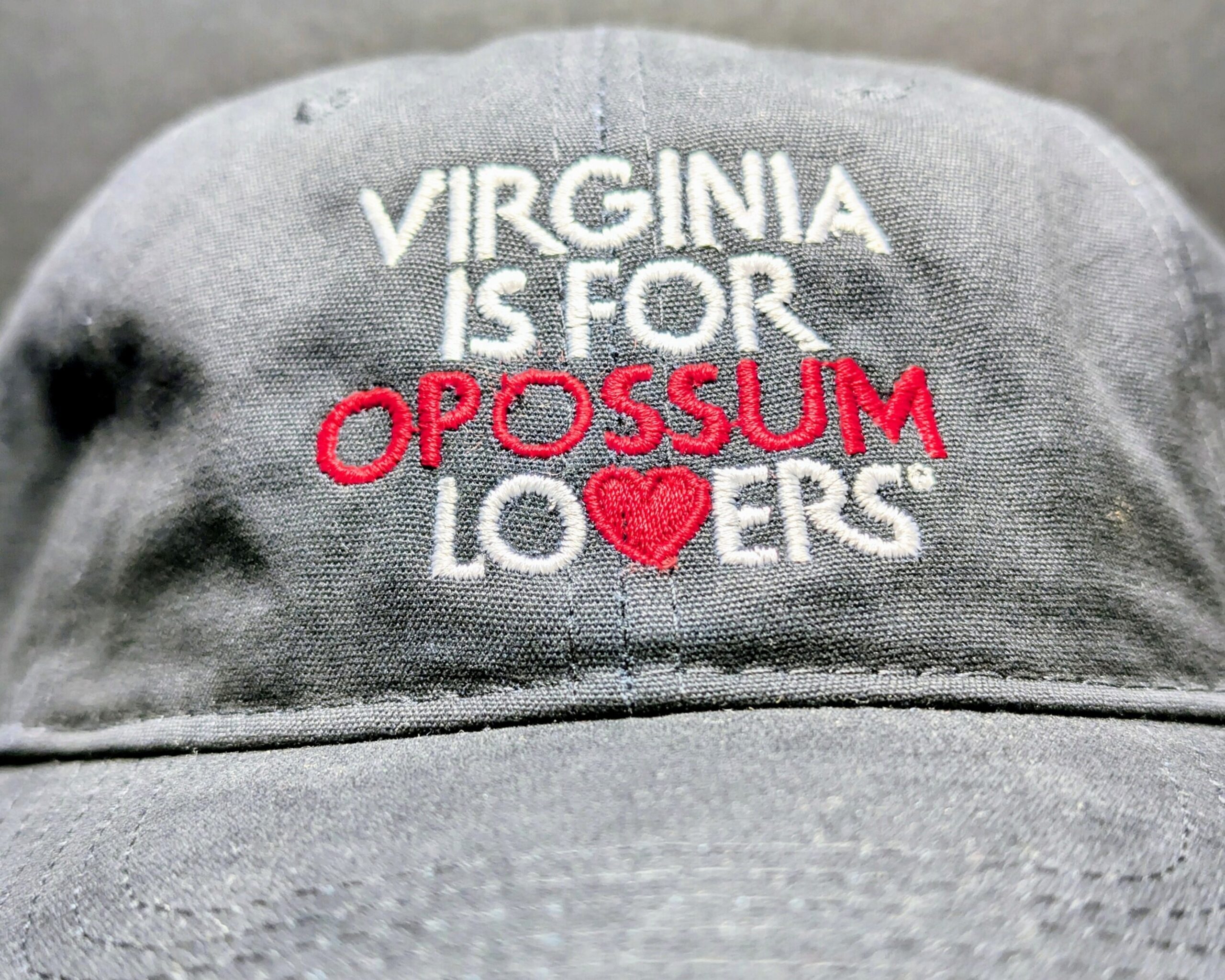 Virginia is for Opossum Lovers Baseball Cap - Image 2