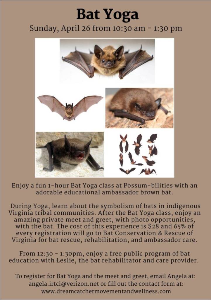 Bat Yoga