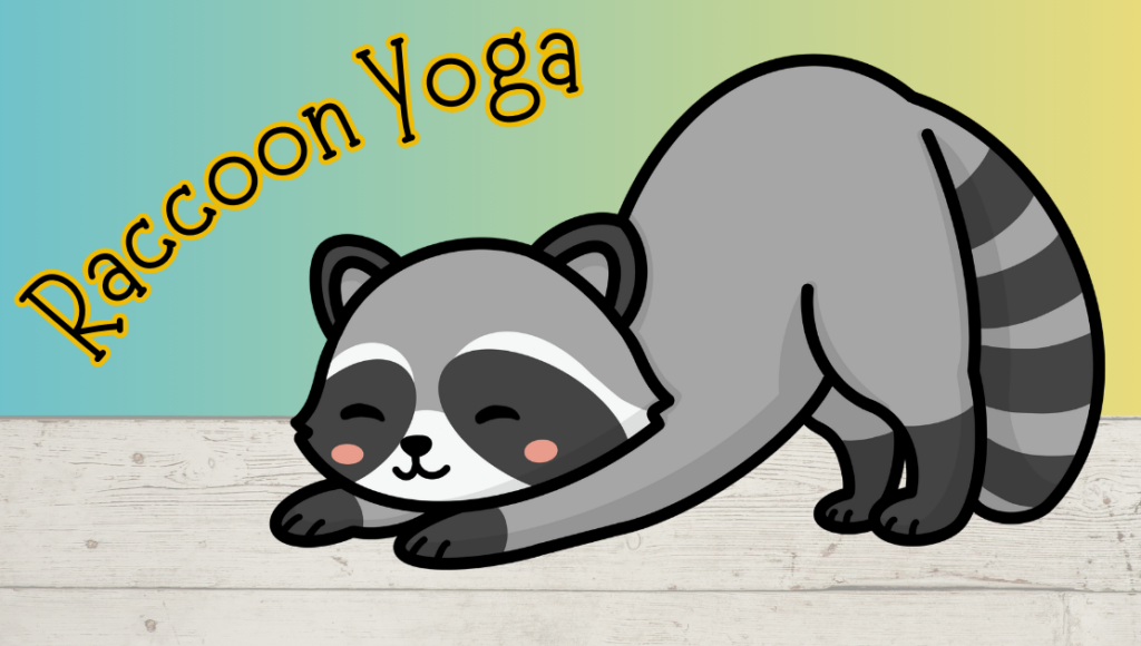 Racoon Yoga
