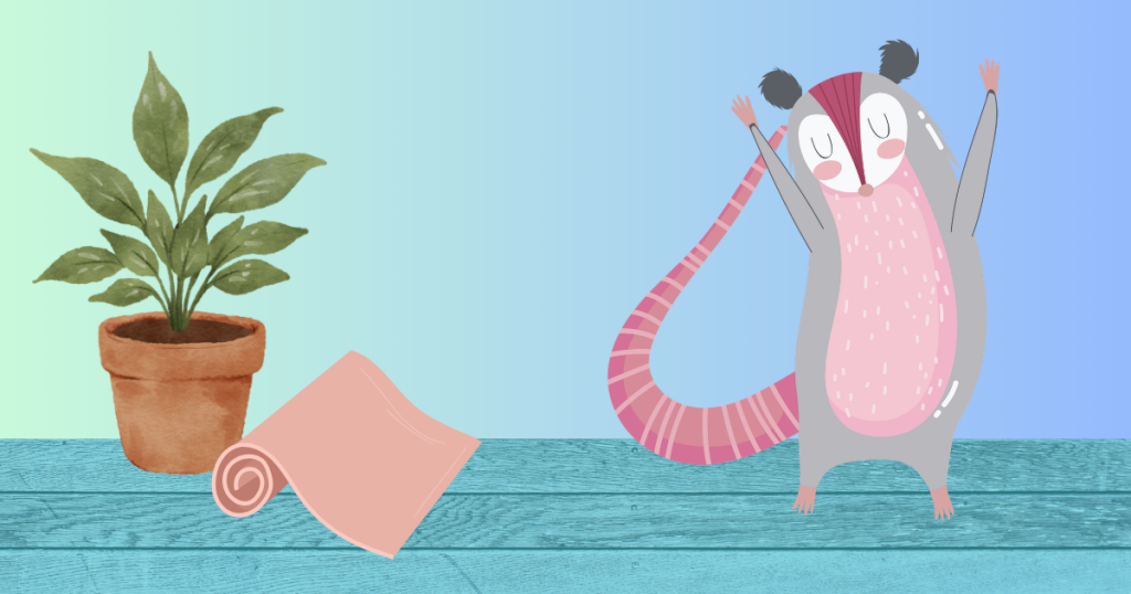 Opossum Yoga